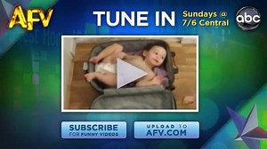 5.7K views · 127 reactions | excited dog walks like a human! | Showpo | Facebook