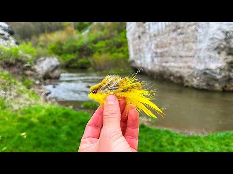 Streamer Fishing SMALL Creeks For Brown Trout! (Pa Trout Fishing)