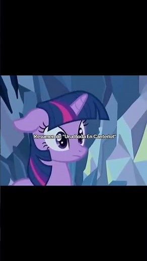 Summary of a wedding in Canterlot be like #mlp #mylittlepony #humor #meme #xd
