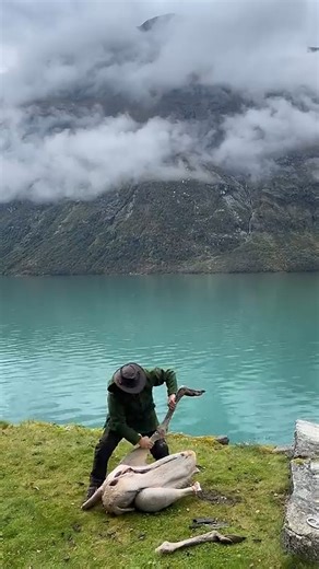 Taming the feathered beast… Ostrich on the fire menu. 🔥🍖 #ostrich #wildfood #firecooking | Fire Kitchen