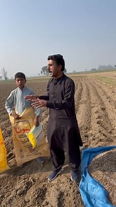 03000845098 Mian Tassawar ijaz Potato crate fertilizer plan | پاکستان کسان ٹی وی