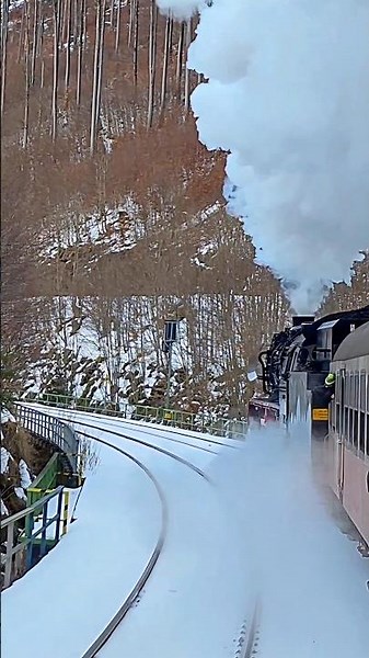 Amazing Steamsound - 41 1144-9 in action - #shorts #train #steam #locomotive #railway #viral #reel