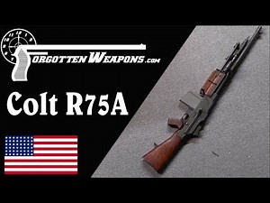 Colt R75A: The Last Commercial BAR (With Shooting)
