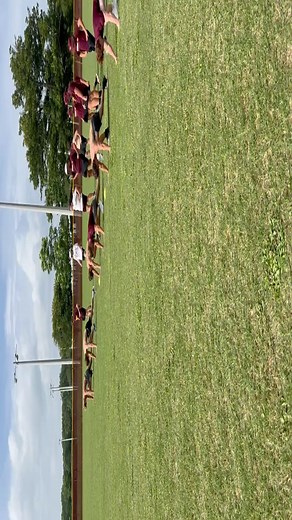 Robertsdale High School Baseball on Reels