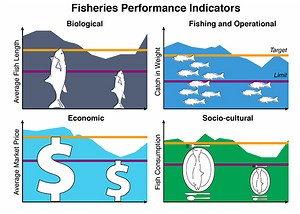What are the fish stock assessment methods? [2025] | QAQooking.wiki