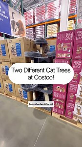 127K views · 935 reactions |  Kitty friends! Costco has cat trees!! | Costcohotfinds | Facebook