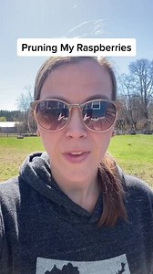 Pruning raspberries will allow your remaining canes to produce even more resulting in a much bigger harvest. In zone 7a, the time to prune them is late winter or early spring #pruningseason #raspberry | Very good gardening