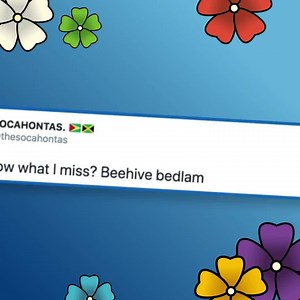 Beehive Bedlam is back on Sky Q! 🐝🏵️ Wouldn't have been possible without you begging us to bring it back, so thanks to all of you! #SkyQ | Sky