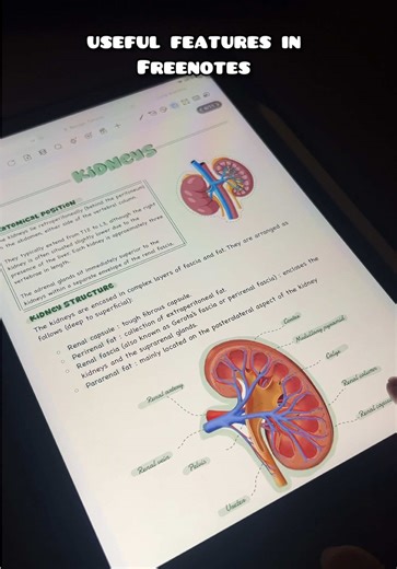 Enhance Note-Taking with FreeNotes Features