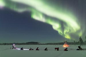 19K views · 291 reactions | Do you want to see and photograph the...