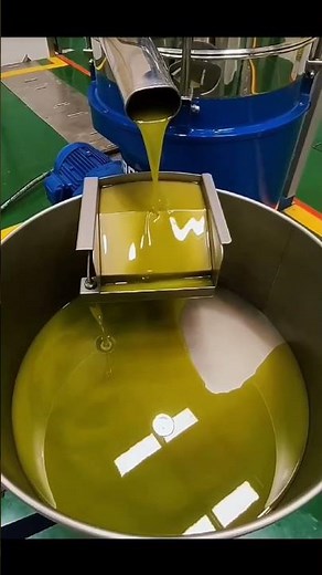 How It’s Made: Step-by-Step Olive Oil Production Process