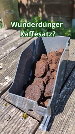 Dünger Kaffeesatz - Nicht immer eine gute Idee (Nutzgarten Tipp 9)