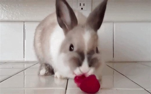 Bunny Turns His Raspberry Snack Into to Adorable Lipstick Look [VIDEO] - One Green Planet