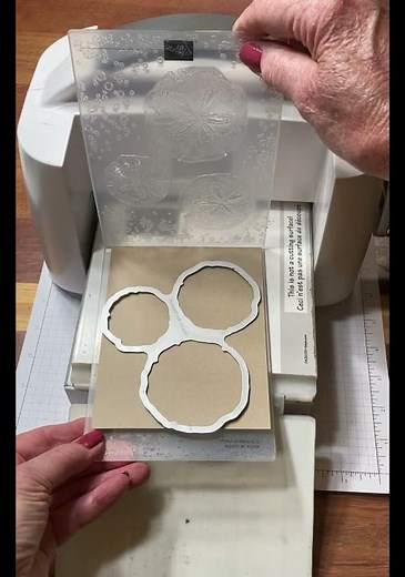 How to Combine the Seaside Wishes Hybrid Embossing Folder and Die from Stampin' Up!