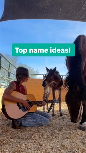 Top name ideas in order from favorite to least! 💕Zelda(means blessed and happiness) I love this one😆 💕Nova 💕Miracle (I have a horse named Mira.. so idk) 💕Rayne 💕Ruby What do you guys like the most?! Also I love this song by Taylor swift! It’s called “The Best Day” 🥰