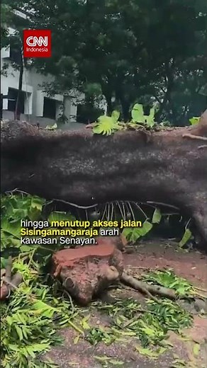 Detik-detik Pohon Tumbang Timpa Atap Jalur Bawah Tanah MRT Senayan