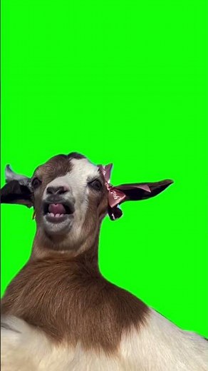 Goat talking meme green screen