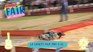 2.5K views · 149 reactions |  Unlock endless fun with the Fairplex Annual GOLD Pass! Your all-access ticket to a year filled with excitement at the Fairplex events. From thrilling rides to must-see attractions, the Annual Gold Pass ensures you never miss a moment of the action! ✨ Get your pass today and make every visit unforgettable!   Get your Fairplex Gold Pass here! #FairplexFun #AnnualPass #UnlimitedFun #FairTime | LA County Fair | Facebook