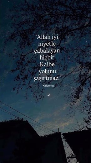 #shortvideo #gece #reels #videoshort