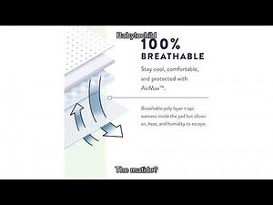 Prevail Daily Protective Underwear Review: Comfort & Absorbency for All-Day Protection.