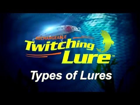 Rechargeable Twitching Lure: Types of Lures