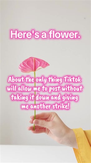 Tiktok Censored Again.. #britain #censorship #stupidity #brainwashed #ideology