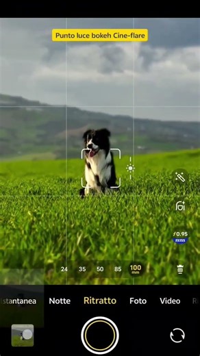 what a Camera VIVO X 100 ULTRA portrait mode (100mm)
