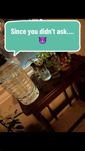 Getting things together because life goes on! Deep cleaning and getting ready for the garden tomorrow. Got some hydroponic action going. If I wouldn’t get in trouble, I’d hire someone to help. 🤣Cutting out gluten is easier than eliminating processed foods. Even those labeled “healthy” can be tricky. Looking for farm fresh eggs as well. Last year got me ready for this year. #louisianagal #iamwonderwoman #hayescreekcatcompany #growingandplanning #heisironman