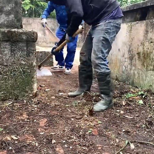 Helping Aunt Clean an Abandoned Family House – Shocking Results  | CleanUp TV | Facebook