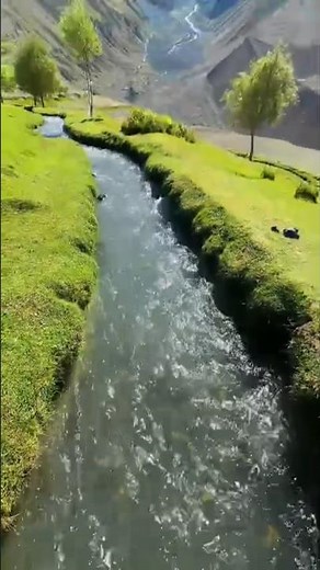 Crystal Clear Stream Flowing Through the Mountains