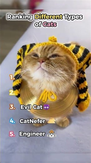 Different Types of Cats😍