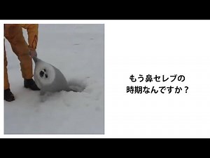 [Best Episode] I tried to make a comment on a genius joke. [Best Selection] [#9]