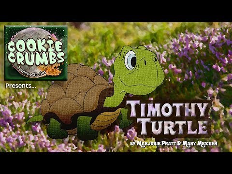 Bedtime Stories - Timothy Turtle - Take 10😛