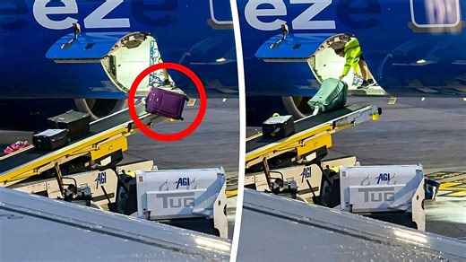 Luggage falls off conveyor as worker unloads plane in Florida