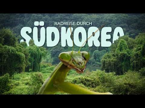 Asien mal ganz anders? | Radreise durch China & Südkorea 🇨🇳🇰🇷