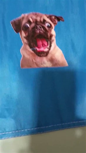 Funny Video 😂 This is a Freak Dog its body split in half but I put him together with Super Glue