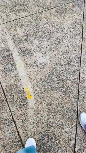 Experience Student Life in Australia as an International Student