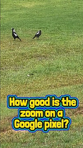 how INSANE is this ZOOM!? 🔎🔎🔎