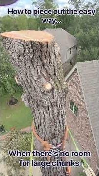 Best method to chunk out, for Arborists only
