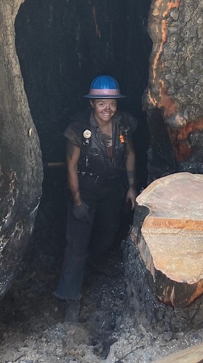 Timberfalling: Watch Giant Hollow Tree Disintegrate As It Falls 😱#timberfallingcouple #timber #timberfaller #timberfalling #logging #chainsaw #stihlchainsaw #stihl #bluecollar #treesurgery #lumber #fyp #pnw #timberland #trees #woodwork #woodcraft #woodsmen #womenshealth #womenintimber #westcoastfaller #chainsawman | Timber Falling Couple
