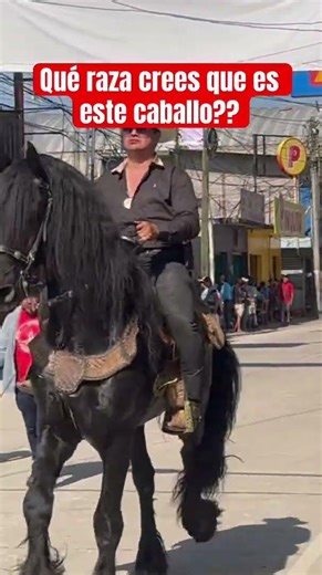 Qué raza crees que es??