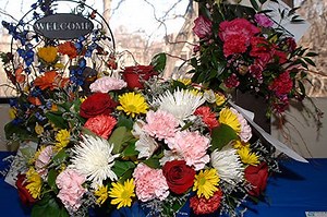 N.J. High School Horticulture Expo Set to Bloom at Mercer County Community College March 11 and 12