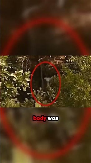 Massive Sleepwalking Alien Caught on Camera in Woods #paranormal #alien #aliens #monster