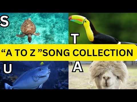Alphabet Adventure Tunes: A to Z Song Collection for Kids
