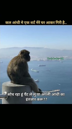 😆😁#programming #webdevelopment #project #c++ #javascript #shortvideo