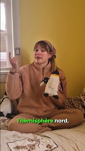 Manchot ou pingouin ? 🐧