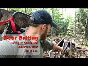 Bear Hunting Over Bait - Tips on Baiting Black Bear