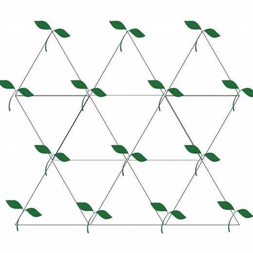 How to Use Triangular Spacing to Fit More Plants - Salt in my Coffee