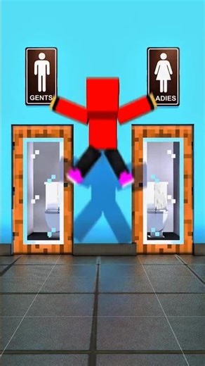 I Changed the Toilet Door From Male to Female in Minecraft... Chaos Ensued! 😂