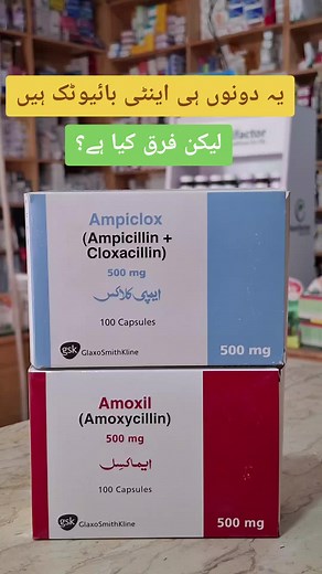 اینٹی بائیوٹک کا فرق: Amoxil اور Ampiclox